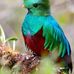 Erick Crisostomo - Facebook