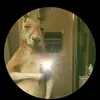 Eric Cuellar - @eric_cuellar12 - TikTok