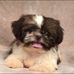 Erick Daniels - Facebook