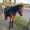 Erick Delgado9342 - @erickdelgado9342 - TikTok