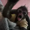 Erick Delgado - @erick.delgado776 - TikTok