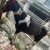 Erick Delgado - @erick.delgado679 - TikTok