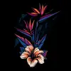 erickdenis - @erickdf18_sy - TikTok