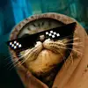 Erick Dias - @erick_dias_freitas141414 - TikTok