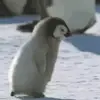 Eric Duncan - @eric.duncan3 - TikTok