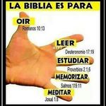 Erick Elera Mamani - @mamani6181 - Instagram