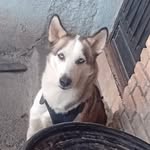 Erick Rocha Escareño - @erickrocha.escareno - Instagram