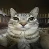 Eric Escolero - @eric.escolero - TikTok