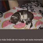 Erick Fabian - Facebook