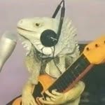 Erick Fabian - @turtleskeet - Instagram