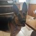 Eric Fitz - Facebook