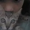 erickfontela912 - @erickfontela912 - TikTok