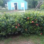 Erick Frederick - Facebook