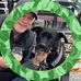 Eric Fry - Facebook