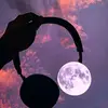 Erik Galicia - @erik.galicia5 - TikTok