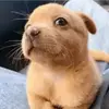 Erick Garnica - @erick.garnica02 - TikTok