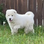 @erickgibson82 - Instagram
