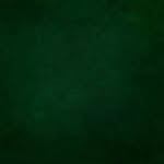 Erick Alexander Grant Romero - @erick_grant_333 - Instagram