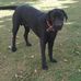 Erick Guajardo - Facebook