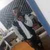 Erik guilarte - @erikguilarte11 - TikTok
