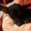 Erick Guillermo - @erick.guillermo72 - TikTok