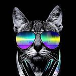 Eric Alexander Guirola - @ericalexanderguirola - Instagram
