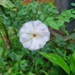 Erick Gunawan - @erick.gunawan.82 - Instagram