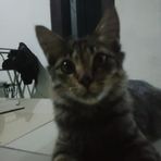 Erick Gunawan - Facebook