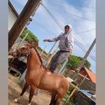 Erick Hames - @erick.hames - Instagram