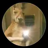 Erick Harrison - @harrisonharrison25 - TikTok