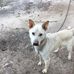 Erick Haynes - Facebook