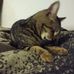 Erick Hensz - Facebook