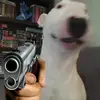 Eric Herman - @eric.herman - TikTok