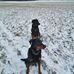 Eric Hoff - Facebook