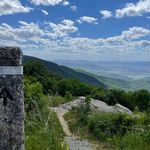 Mae Erickson - @maeerickson.holidayinn - Instagram