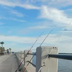 Eric Holman - @ericholman953 - Instagram