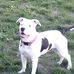 Eric Howard - Facebook