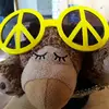 Eric Huber - @eric.huber - TikTok