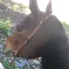 erickibanez517 - @erickibanez517 - TikTok