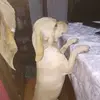 erickipina0 - @erickipina0 - TikTok