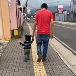 Erick Iraheta - @erickiraheta - Instagram