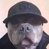 Erick Ruiz - @erickirvin15 - TikTok