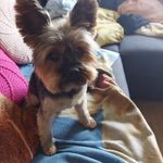 Erick Jansen - @erick_jansen_645 - Instagram