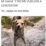 Erick Jasso - @erickjasso6405 - Instagram