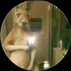 erick jimenez - @erick.jimenez2460 - TikTok
