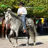 Erick Jimenez - @erickjimenez2978 - TikTok