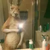 Erick leon - @erick.leon31 - TikTok