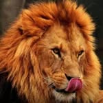 Erick leonard masanza🇹🇿 - @erick_lion3 - Instagram
