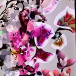 Erik Lund - @we_are_all_apes - Instagram