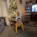 Erick Mcdonald - Facebook